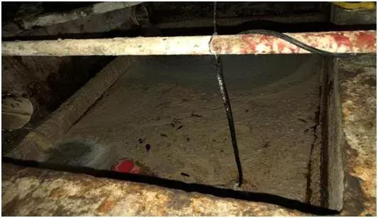 上海点都德粤式早茶,成都粤式早茶点都德