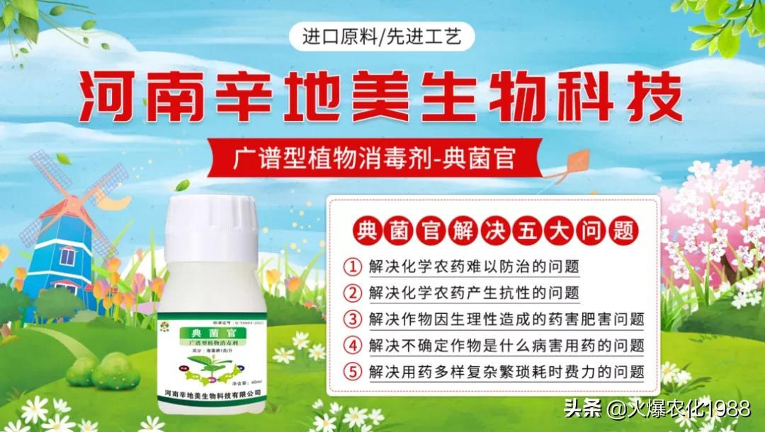 能杀灭真菌细菌病毒的东西,专杀细菌杀菌剂大全