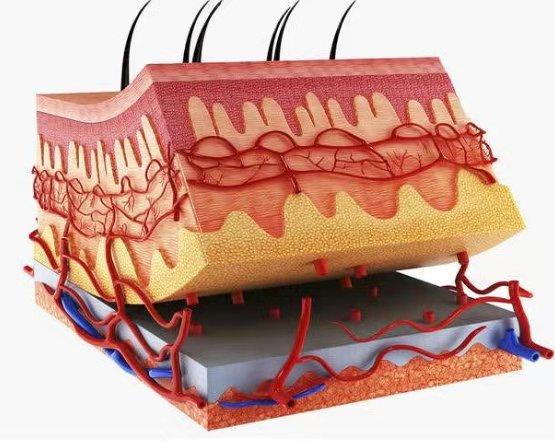 内分泌失调胖起来的容易瘦下来吗,内分泌失调专家教你应对