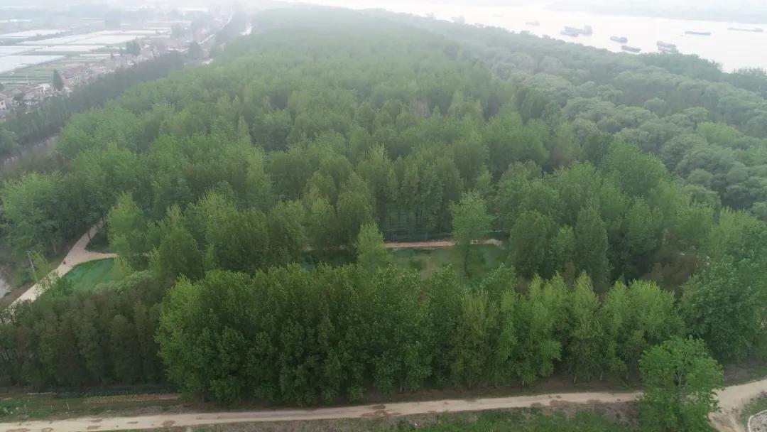 黎辉现场调度八卦洲长江岸线整治，要求如期整治到位，确保长江大保护工作走在前列