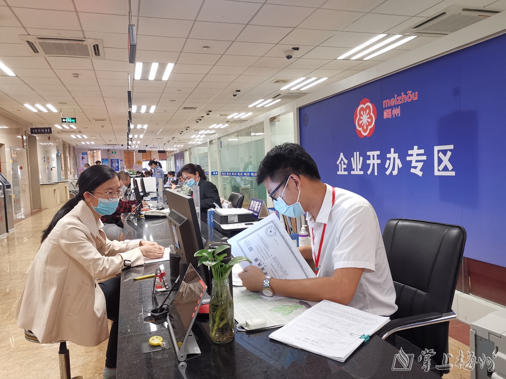 栽下梧桐树引得凤凰来出处,栽下梧桐树引得凤凰来