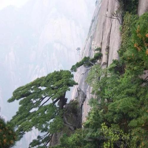 醉美黄山景区,醉美黄山行视频