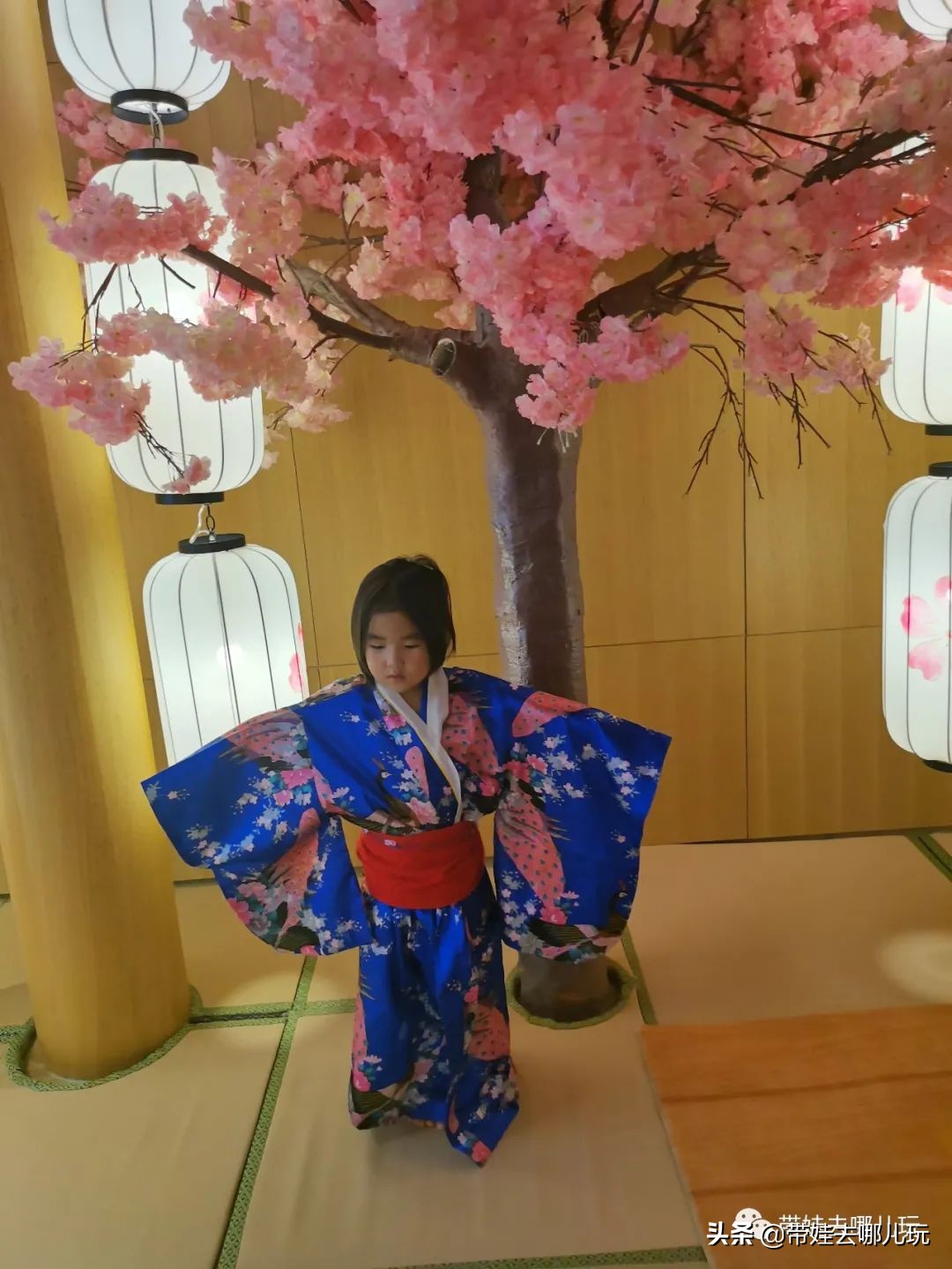 探店西山区,西山温泉怎么玩最划算