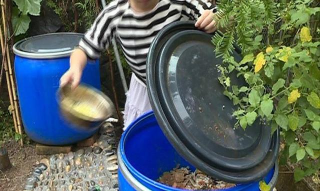 养花用的有机肥怎么除异味,家庭花卉怎样自制无臭味的有机肥