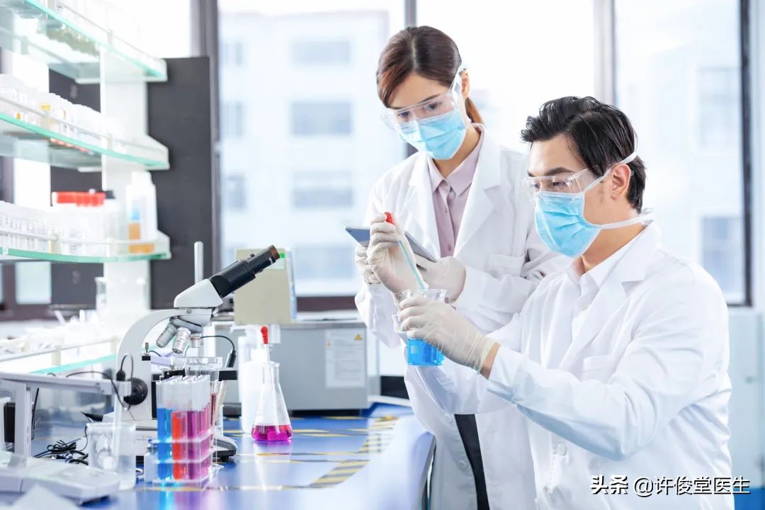 临床生物化学常规检验项目,临床生化检验项目及临床意义