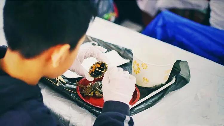 木兰笔记手写,木兰诗笔记重点