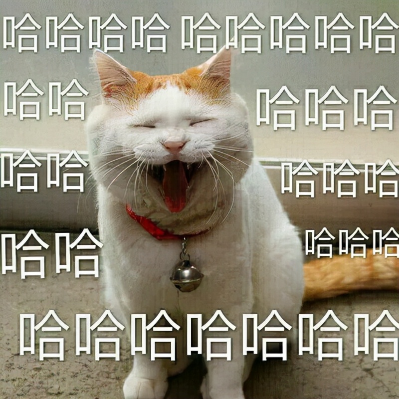 智能手环有效果吗,智能手环有用处吗值得买吗