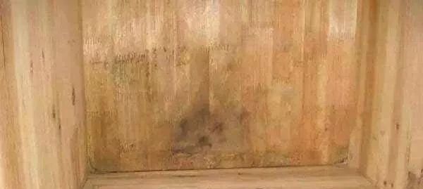 衣柜发霉了有没有毒,挨墙的衣柜潮湿发霉怎么处理