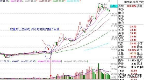 短线均线买卖点最准确的方法视频,一根均线精准买入法连抓498个涨停