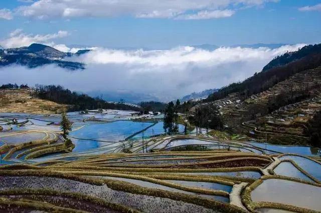 楚雄元阳普者黑四日游,最新云南建水旅游攻略