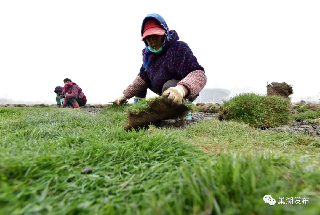最好的人工草坪足球场,人工草坪足球场建设全过程