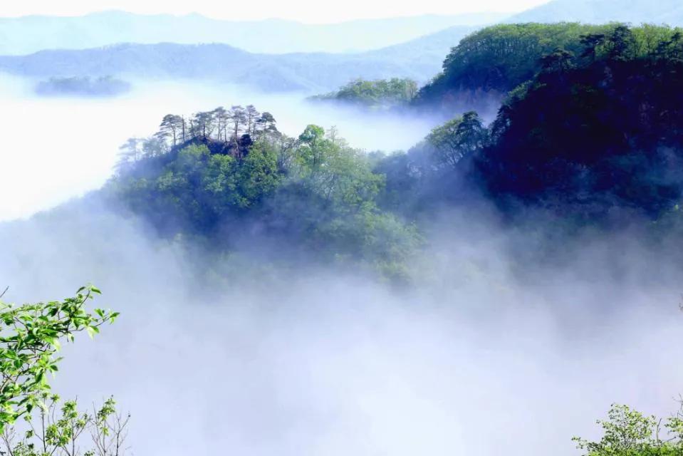 对一张琴一壶酒一溪云,几时归去作个闲人对一张琴一壶酒