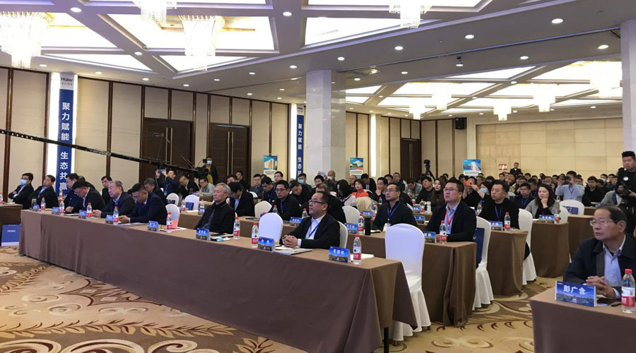 聚力共赢会议主题,聚力赋能共发展