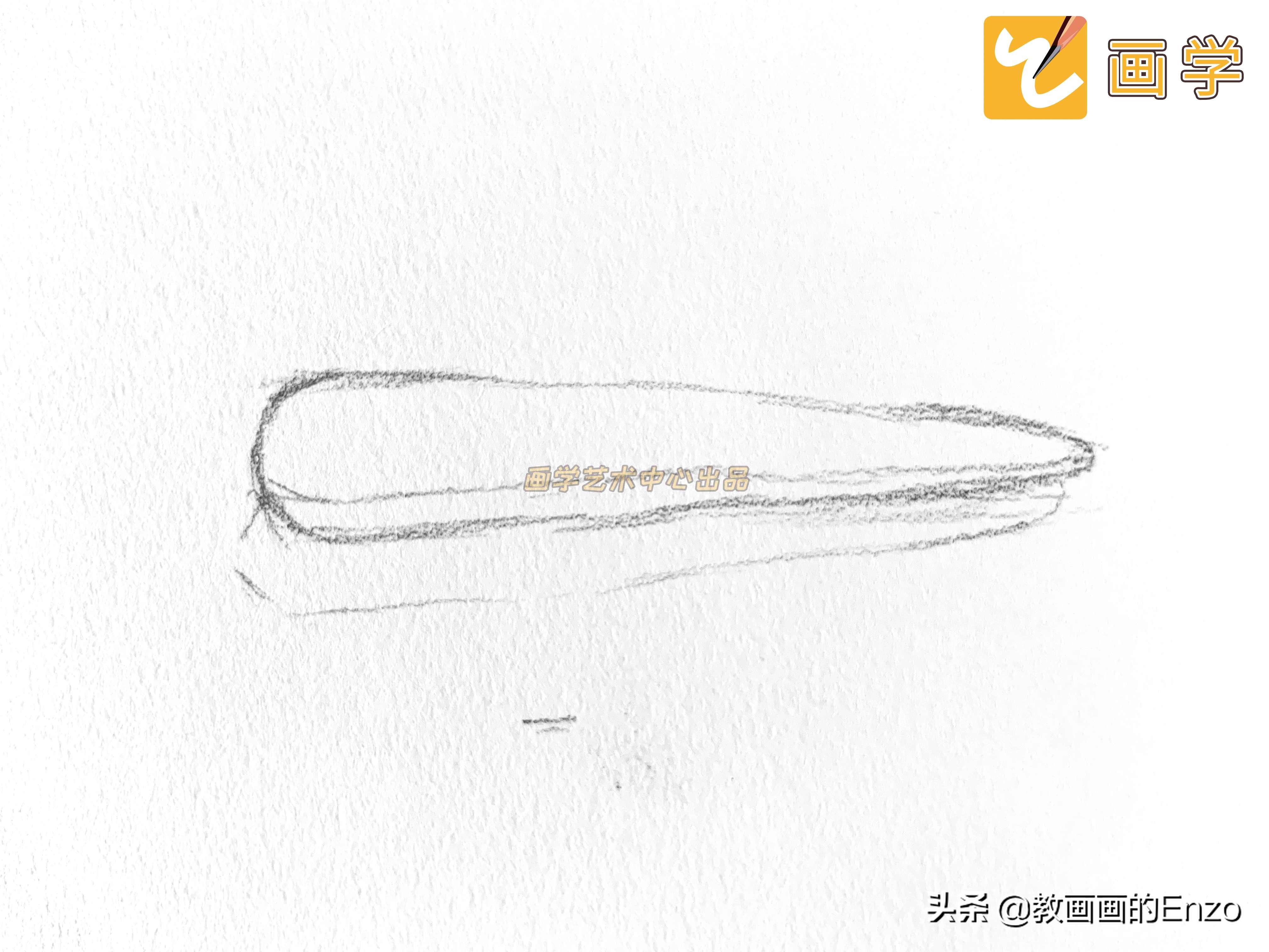 怎样画简单蔬菜,如何画蔬菜素描