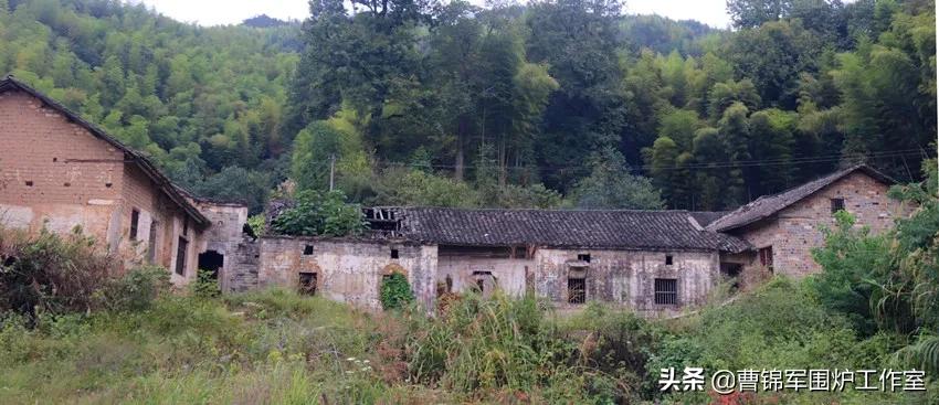 大美黄梅背面,大美黄梅作品