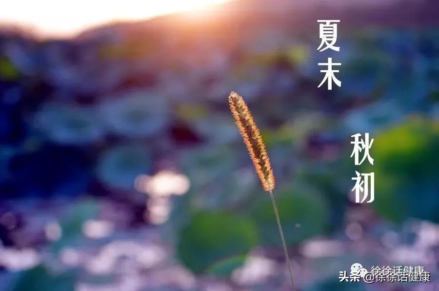 胃胀胃热吃什么最好最快消胀,天冷胃胀不消化一直堵着怎么办