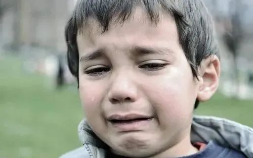 怀吉的直播视频,怀吉直播全过程