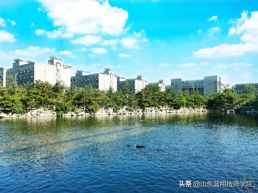 去山东蓝翔技校学汽修学费多少钱,上山东蓝翔汽修学习需要文凭吗