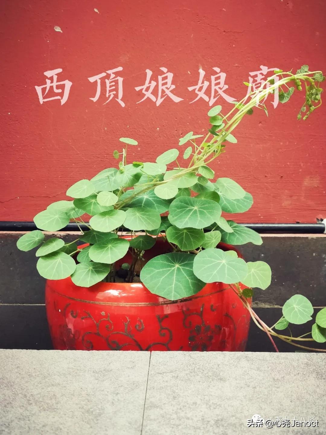 北京西顶娘娘庙、古麦钟桥遗址竟然都在世纪金源购物中心周边