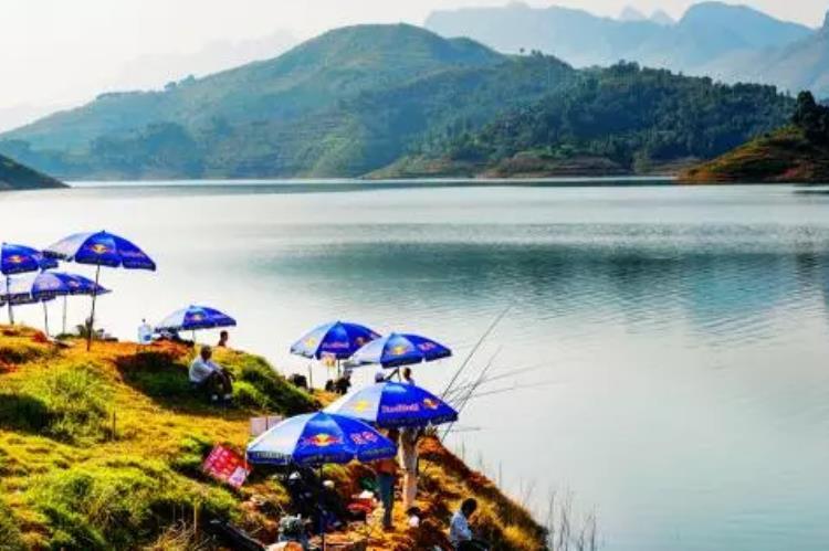 野外钓鱼怎样快速找到鱼窝鱼道,野外钓鱼如何选择窝料