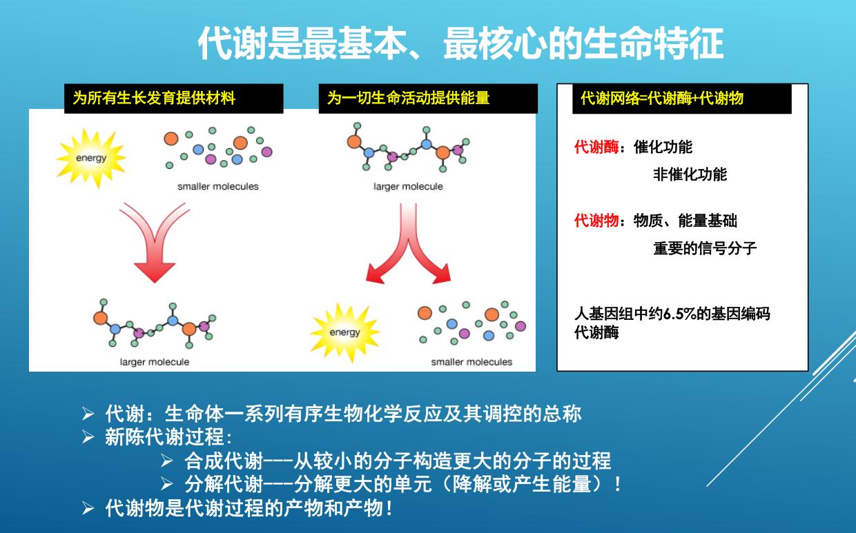 代谢组学作用指哪些,代谢组学的概述及研究进展