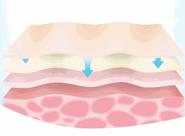 美白祛黄提亮肤色泡水喝,每天喝一杯可以美白淡斑清热解毒