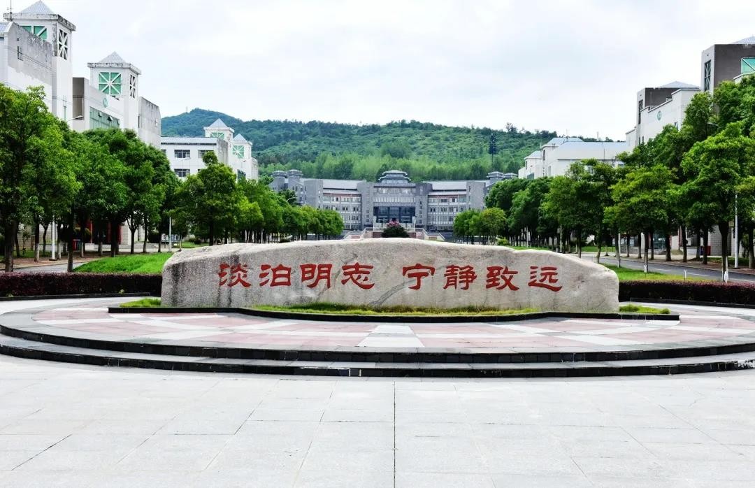 央视多次点赞武汉,央视点赞武汉直播