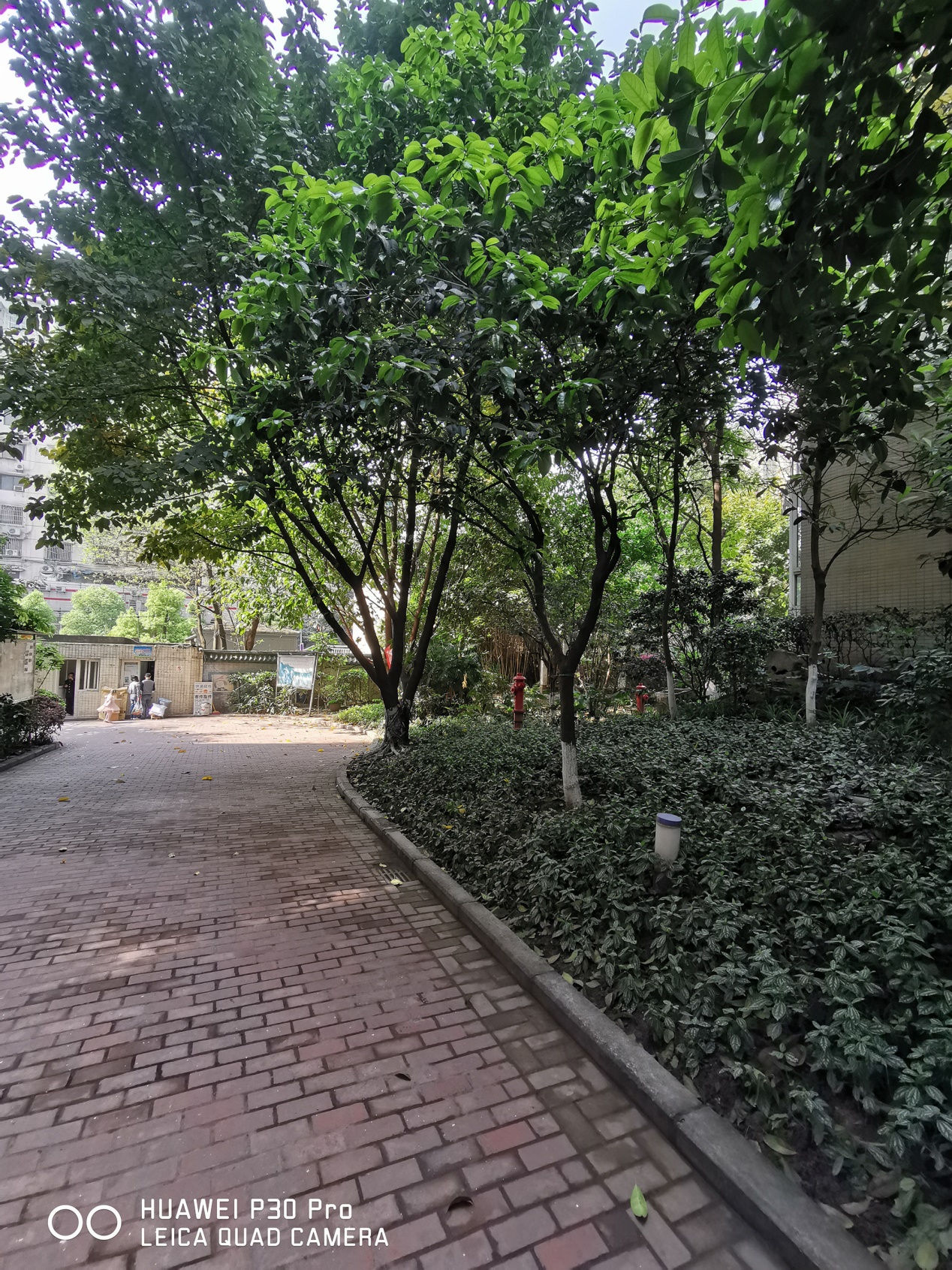 华为p30相机参数是多少,一张图告诉你华为p30拍照