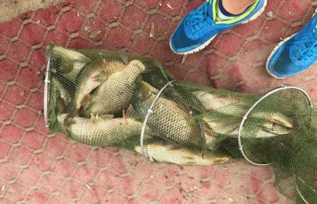 钓鱼小药真的是智商税吗,钓鱼中所谓的小药是智商税吗