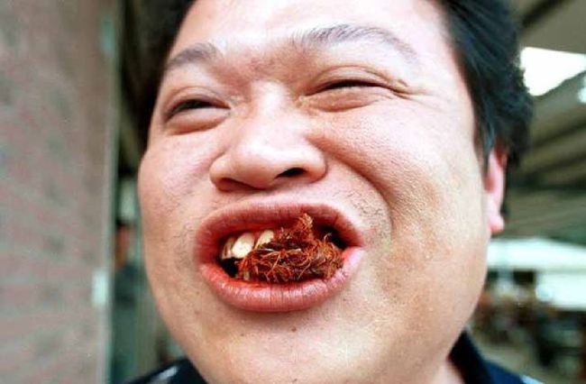 槟榔为什么很多人喜欢吃,槟榔价格最新行情今日还会起价吗