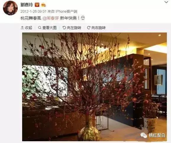 刘嘉玲和天价娃娃合影,刘嘉玲买画