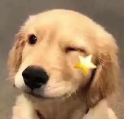 歪果仁说Ihaveathingforyou，可不是说给你东西