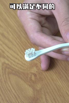 在办公室养猫是什么体验,不用牙膏只用牙刷给猫咪刷牙