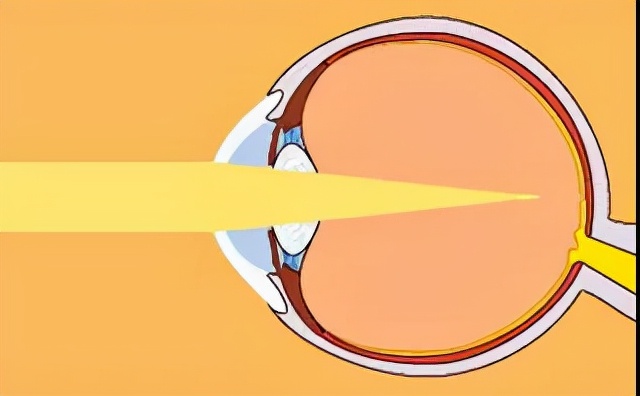 生命汇国际整合医疗怎么样,生命汇国际整合医疗