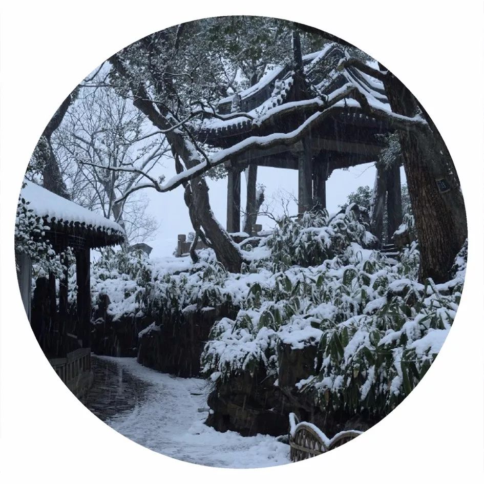 初冬的苏州古城,深秋苏州古城景色