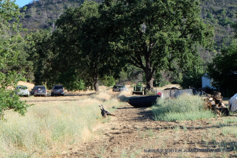 第3045回：人生一世草生一春，来如风雨去似微尘