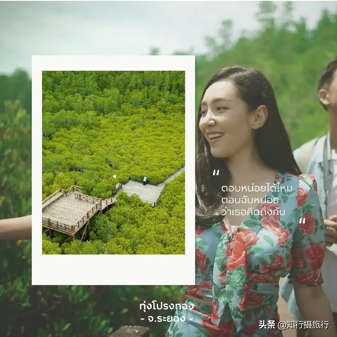 泰国旅游宣传片2021视频,泰国旅游新宣传片