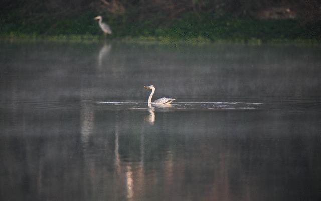 尼康无反相机z9价格,无机械快门相机