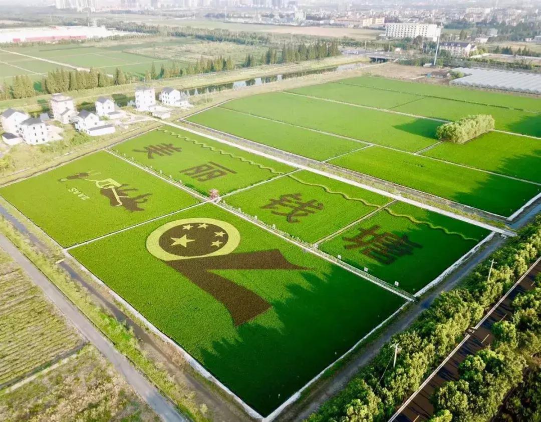 钱塘江画卷,钱塘江画作