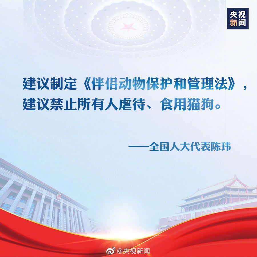 终于等来了，法律禁食禁虐猫狗