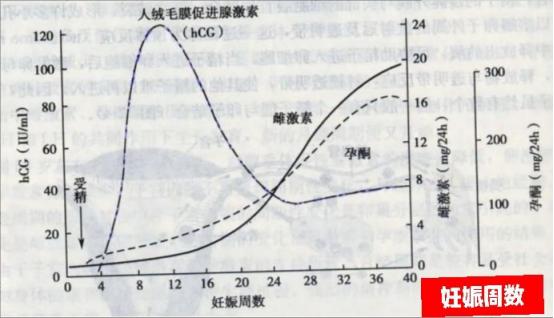 孕期适合用什么牌子的护肤品保湿,孕妇该如何选择护肤品