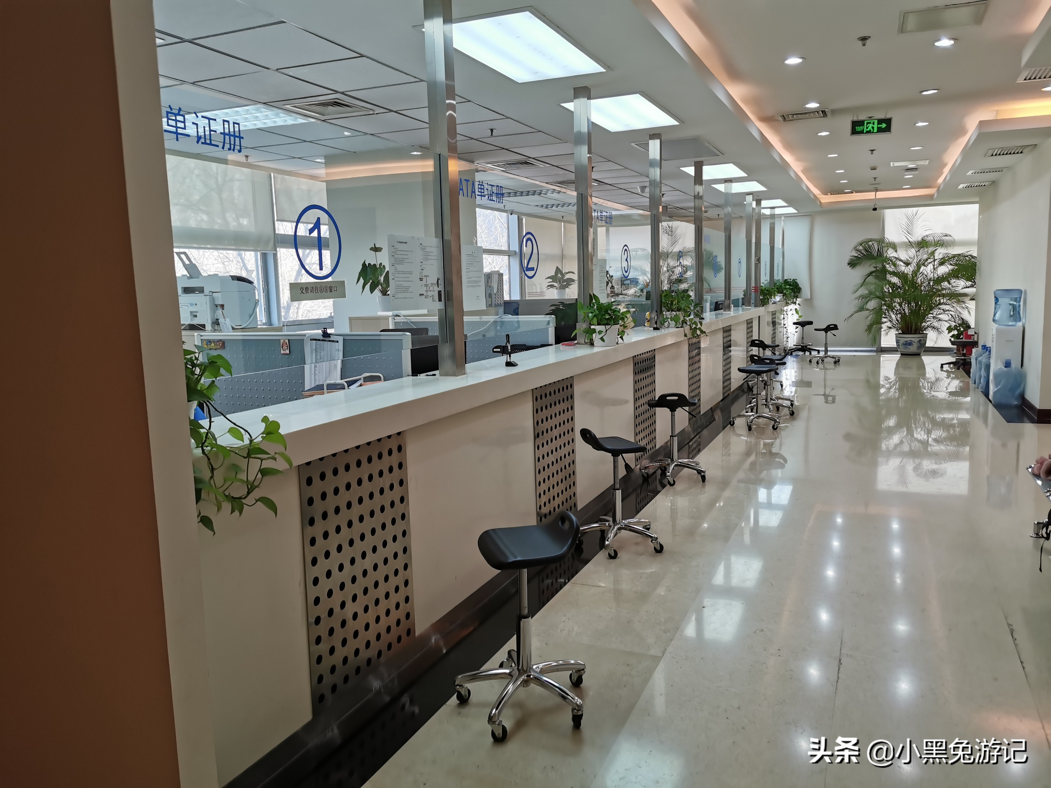 车辆护照如何办理,手把手教你自驾出境俄罗斯欧洲非洲