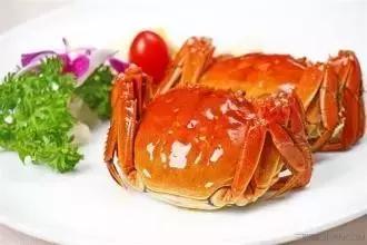 寿光羊口哪个海鲜好,寿光羊口开海节2022年