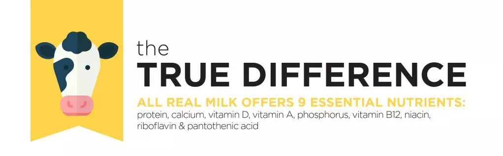 澳洲奶粉是真是假,澳洲最好的奶