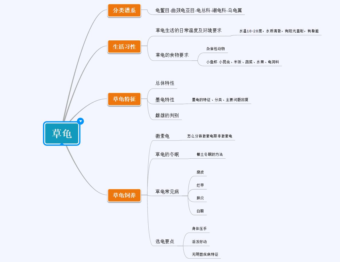 篆书百龟图图片大全,百龟高清图片大全