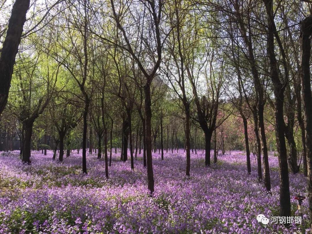 娌抽挗閭挗閾佽矾,娌抽挗閭挗楂樼倝