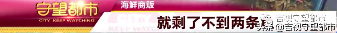 市场监管局开展海鲜交易专项整治,长春市严查水产批发市场