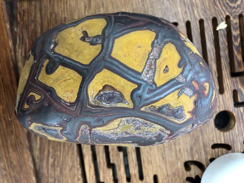 天外飞仙——杨文猎陨记之二