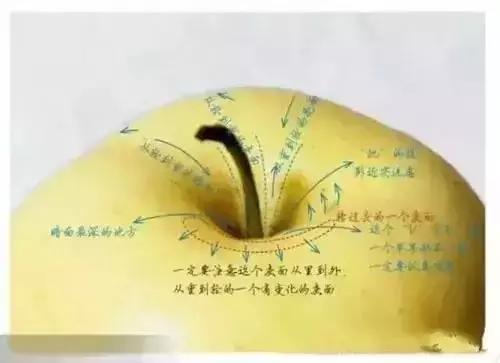 简单的以假乱真苹果怎么画,怎样画苹果简单好看