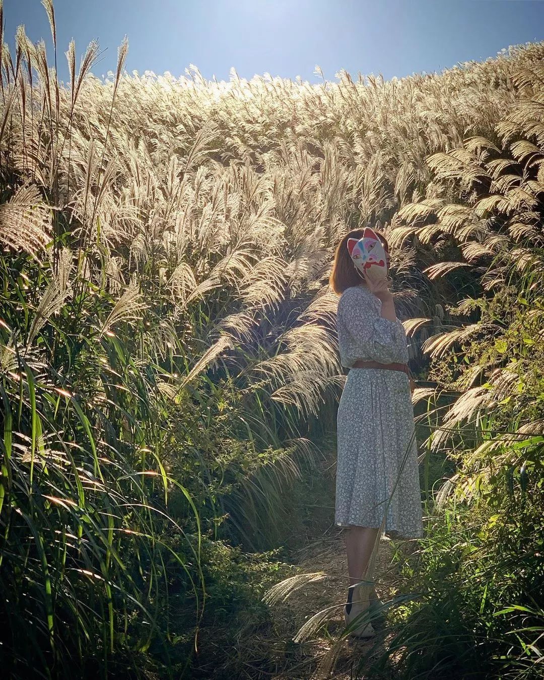 名古屋的机票,名古屋机票价格